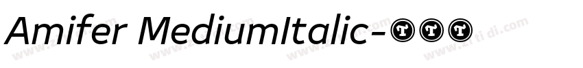 Amifer MediumItalic字体转换